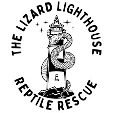 lizard-lighthouse – Badgerland Reptile Rescue
